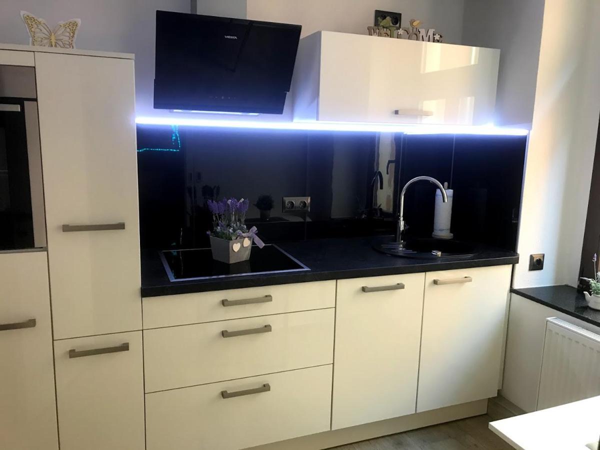Salzhausblick Business Apartments - Zentrale Lage Am Salzhaus - Mwst-Rechnung Verfuegbar Zittau Quarto foto